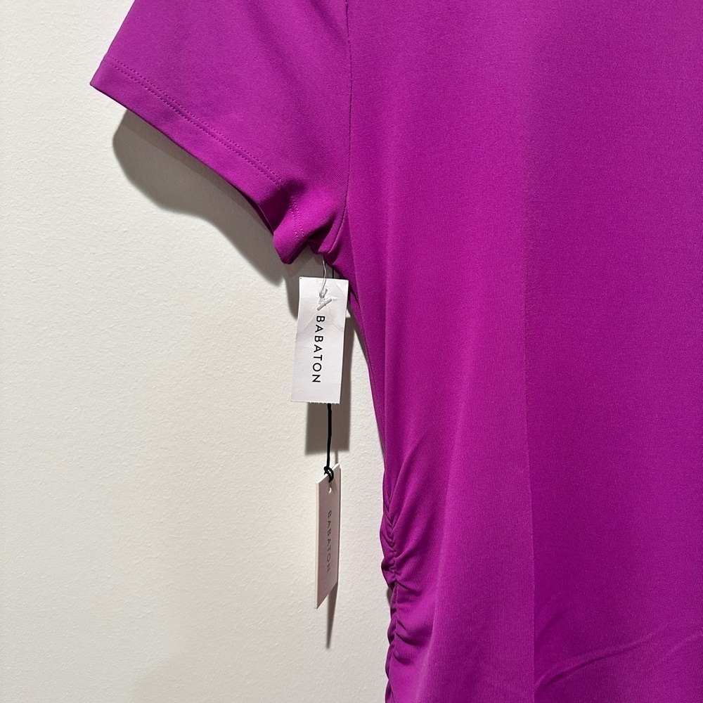 Aritzia Babaton Ruched Mini Dress - Picture 13 of 14